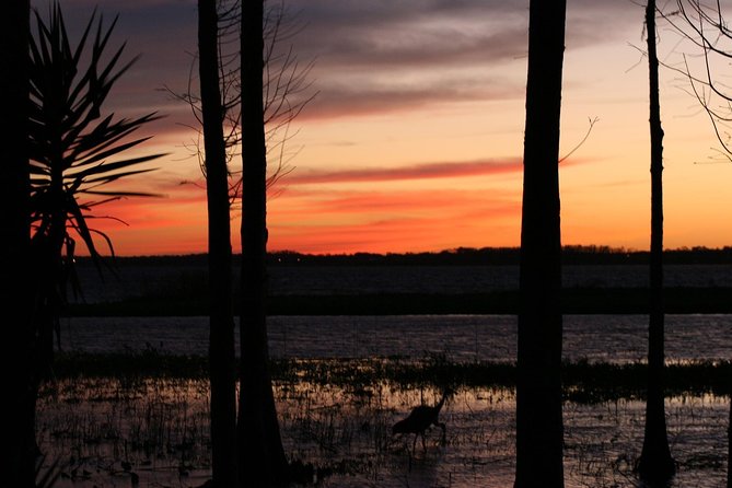 1-Hour Evening Airboat Ride - The $84.93 price and what you receive