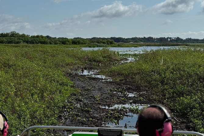 1 Hour Everglades Airboat Tour Orlando Florida - Why a one-hour airboat ride works well in Orlando