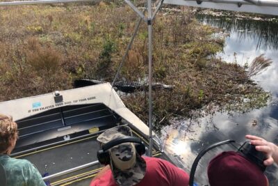1 Hour Everglades Airboat Tour Orlando Florida