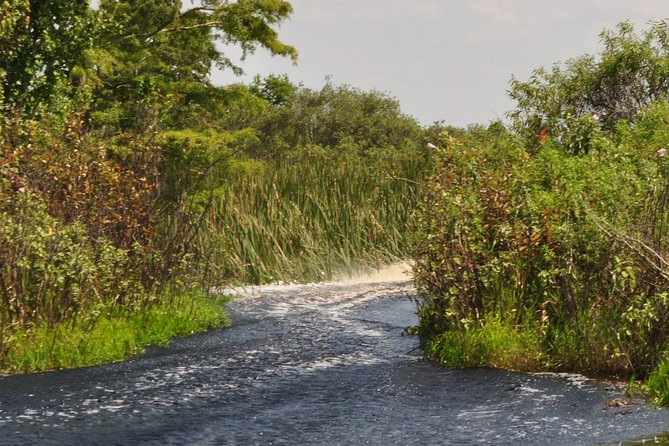 1 Hour Everglades Airboat Tour Orlando Florida - Who should book, and who should think twice