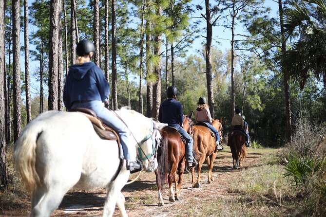 1 Hour Guided Horseback Trail Ride Rock Springs Run State Reserve - Getting comfortable with the horses