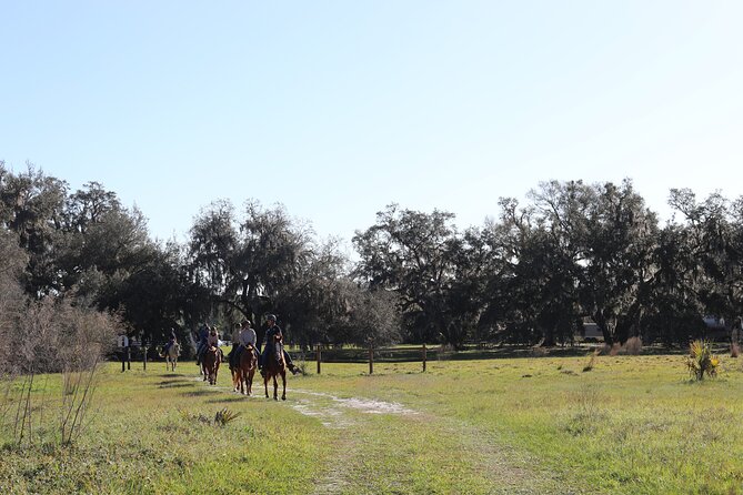 1 Hour Guided Horseback Trail Ride Rock Springs Run State Reserve - What the $79 price really buys you