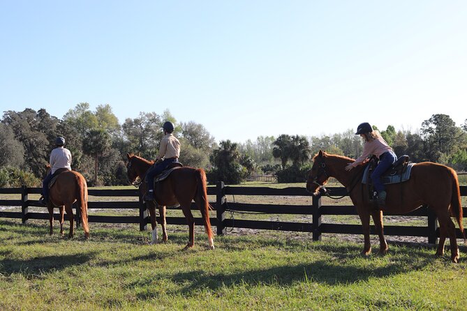 1 Hour Guided Horseback Trail Ride Rock Springs Run State Reserve - Who will enjoy this ride most