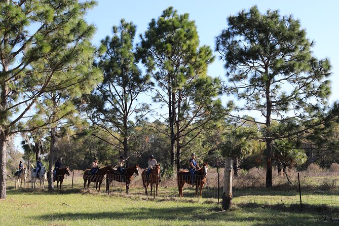 1 Hour Guided Horseback Trail Ride Rock Springs Run State Reserve - The animal-welfare concern you should weigh