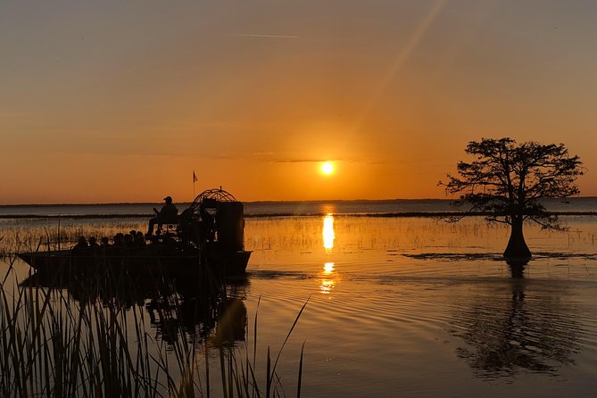 1-Hour Sunset Airboat Ride near Orlando - What you see on the one-hour route