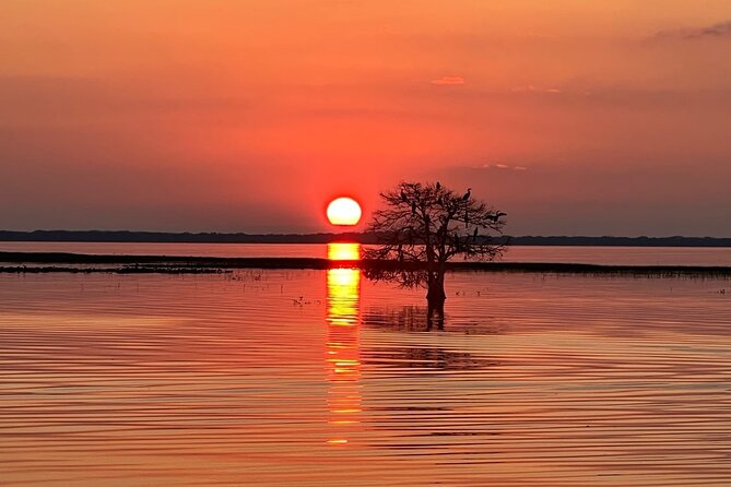 1-Hour Sunset Airboat Ride near Orlando - The small park adds value before and after the ride
