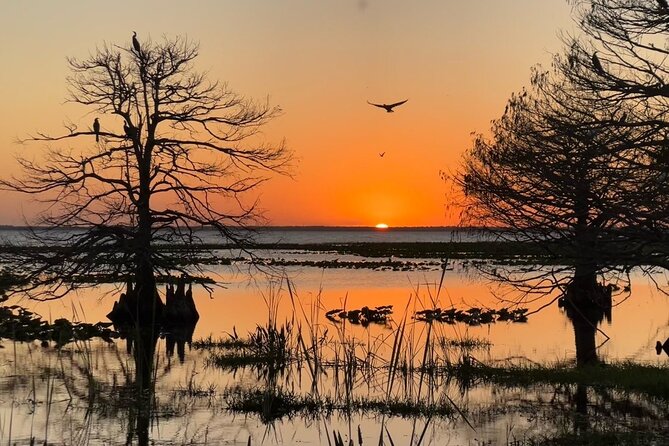 1-Hour Sunset Airboat Ride near Orlando - Who will enjoy this most