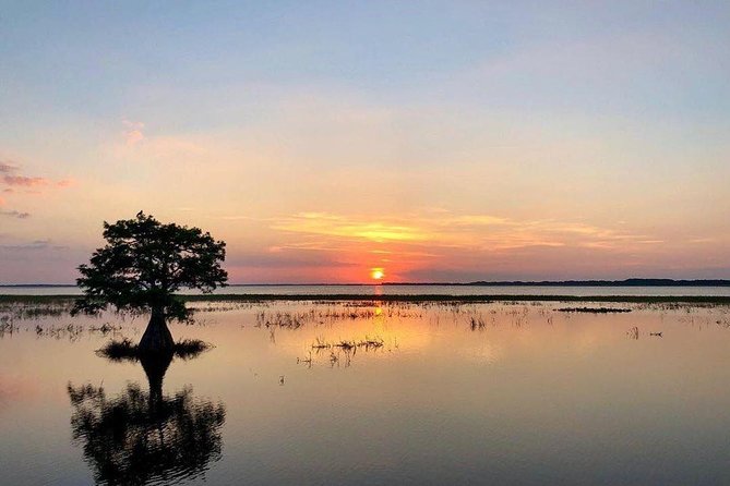 1-Hour Sunset Airboat Ride near Orlando - From check-in to the dock