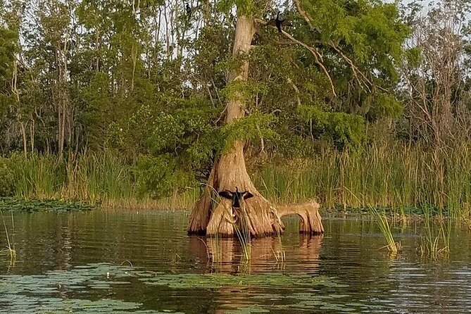 2 Hour Historical Wildlife Tour of the Chain of Lakes - Who Will Enjoy This Cruise Most