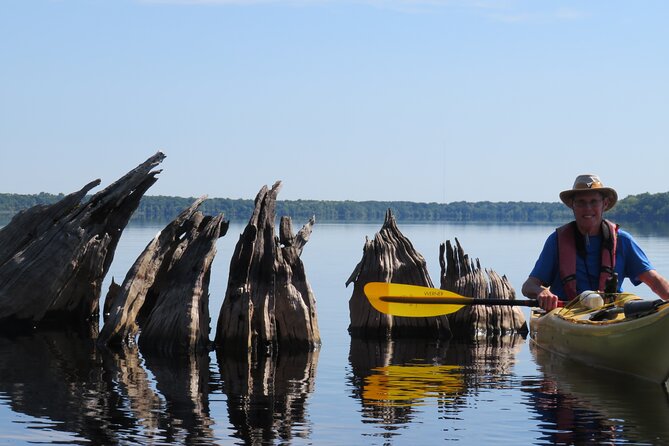 3 Hour Small Group Lake Norris Kayak Activity - Who will enjoy this Lake Norris trip most