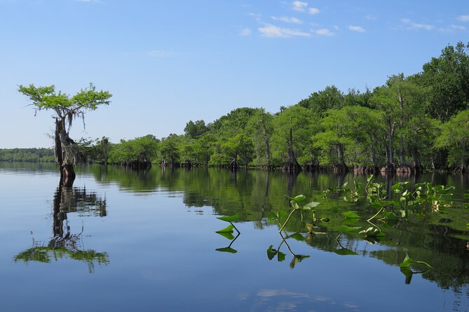 3 Hour Small Group Lake Norris Kayak Activity - Booking ahead and keeping your plans flexible