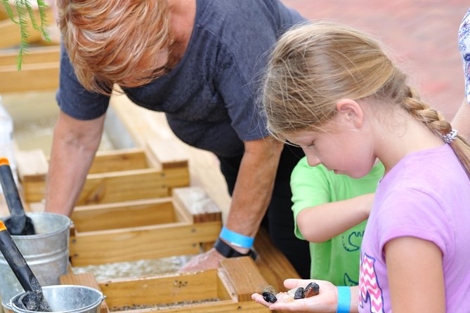 30-Minute Airboat Ride, Lunch, Gem Mining and Park Admission - Timing, group size, and comfort