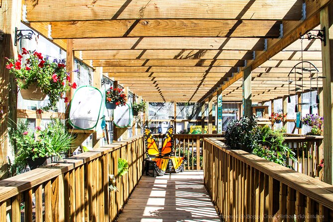 30-Minute Airboat Ride near Orlando - Boggy Bottom BBQ with a lake view
