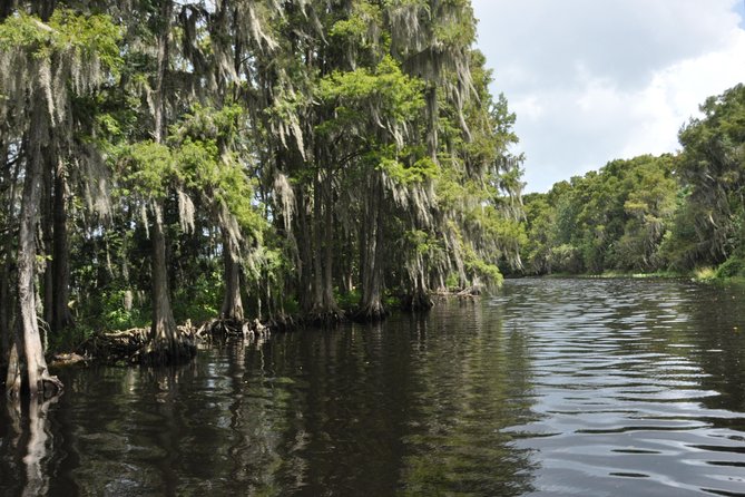 90 minute Everglades Airboat Tour near Orlando Florida - Who will enjoy this airboat ride?