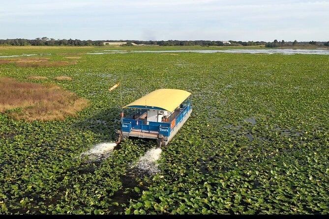 90 Minute Florida Everglades Boat Eco Tour - Key points to know before you book