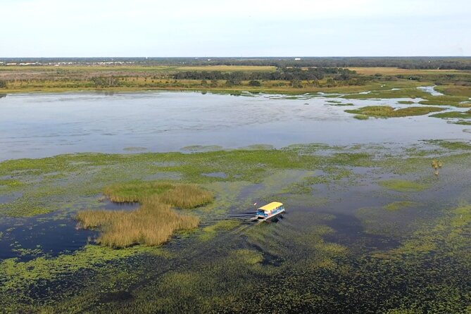 90 Minute Florida Everglades Boat Eco Tour - A quiet change of pace from Orlando