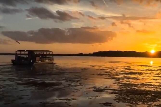 90 Minute Florida Everglades Boat Eco Tour - Leaving from Kissimmee and Lake Toho