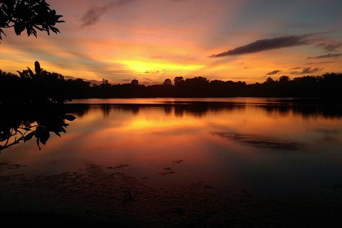 90-Minute Sunset paddle at Secret Lake Guided Kayak Tour in Casselberry - Aaron’s guiding style and the human touch