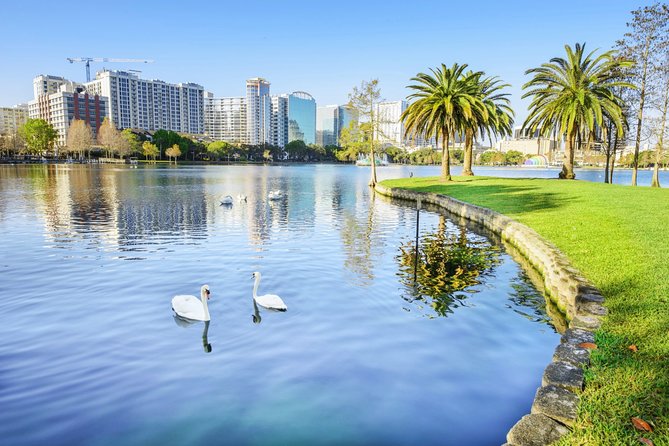 Arrival Transfer: Orlando Airport MCO to Orlando by Luxury SUV - What the 30-minute ride really includes