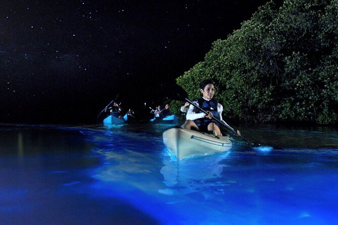 Bioluminescence Clear Kayak or Paddleboard Tour Near Orlando - Key points to know before you book