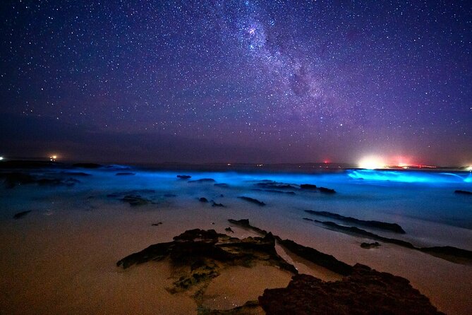 Bioluminescence Clear Kayak or Paddleboard Tour Near Orlando - Sunset comes first, and that is a good thing
