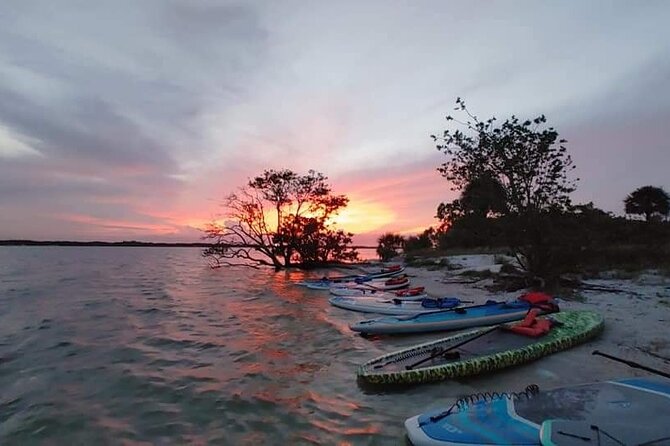Bioluminescence Clear Kayak or Paddleboard Tour Near Orlando - Why the clear boats matter