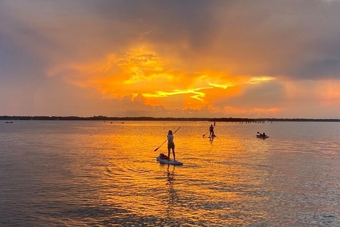 Bioluminescence Clear Kayak or Paddleboard Tour Near Orlando - Practical advice for a smoother paddle