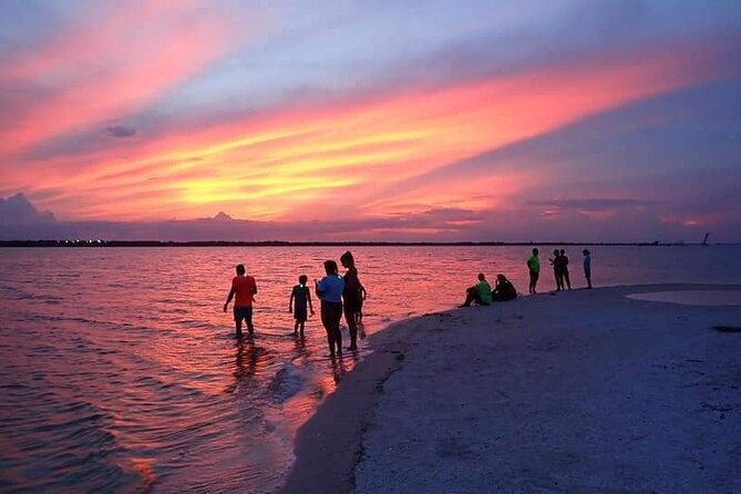 Bioluminescence Clear Kayak or Paddleboard Tour Near Orlando - Horseshoe Crab Island is more than a photo stop