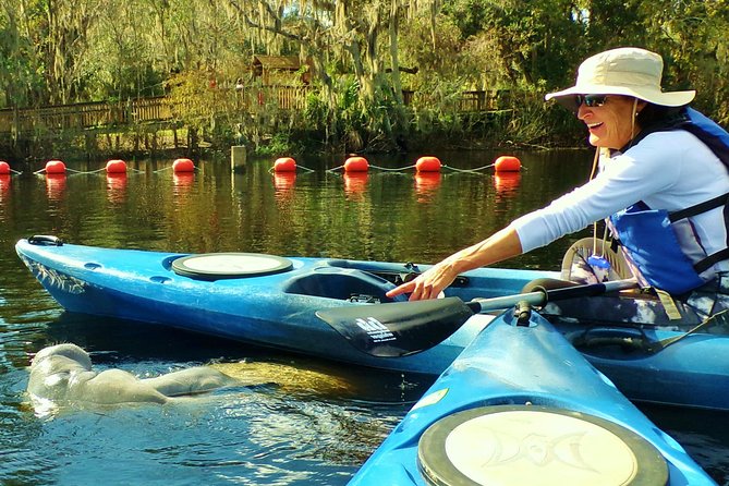 Blue Springs Manatee Tours & Wildlife Adventure Orlando - The spring, the river, and the value of contrast