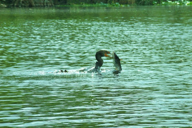 Blue Springs Manatee Tours & Wildlife Adventure Orlando - Is $80 a fair price?