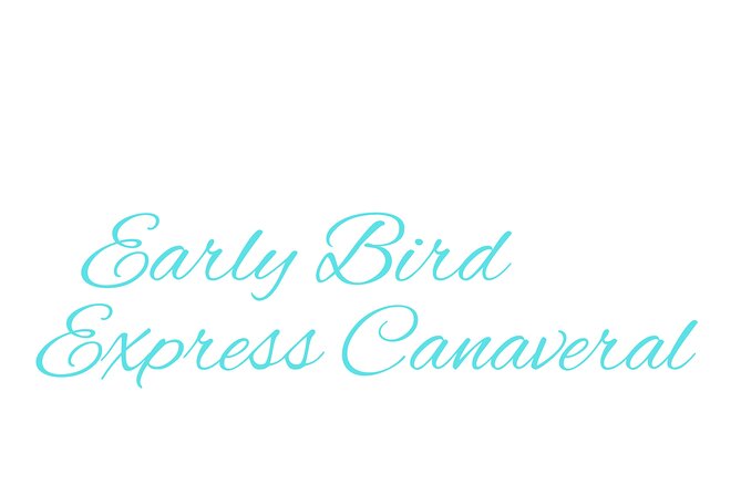 Cape Canaveral Private Transfer to MCO Orlando Airport - Family details, accessibility, and service animals