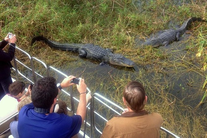 Central Florida Everglades Airboat Tour from Orlando with Pickup - Key points to know before booking