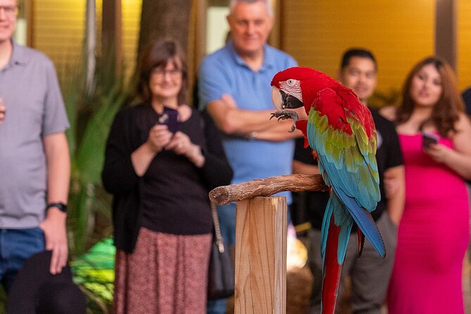 Central Florida Zoo and Botanical Gardens Ticket - Gardens with a simple search for butterflies