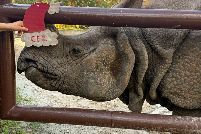 Central Florida Zoo and Botanical Gardens Ticket - Cooling off at the Wharton-Smith Tropical Splash Ground