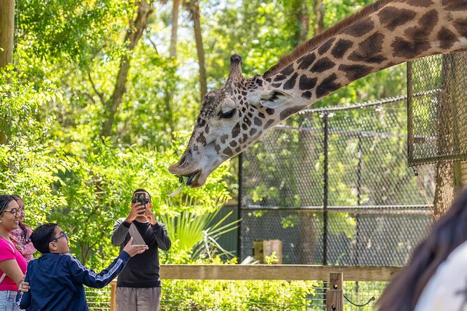 Central Florida Zoo and Botanical Gardens Ticket - Starting along shaded animal paths