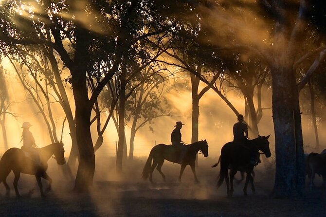 Champagne and Charcuterie Sunset Trail Ride - What beginners should expect