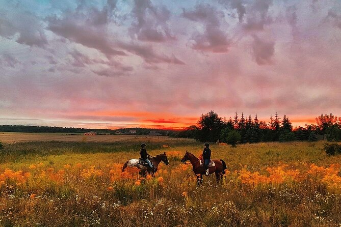 Champagne and Charcuterie Sunset Trail Ride - Why a small group improves the experience
