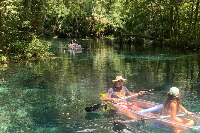 Clear Canoeing and Wildlife Sightseeing at Silver Springs - Wildlife You Might See Beneath and Beside the Canoe