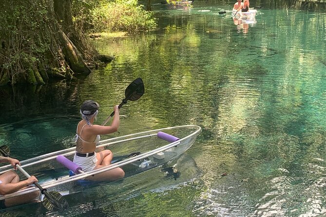 Clear Canoeing and Wildlife Sightseeing at Silver Springs - Why the Self-Guided Format Works