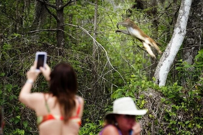 Clear Kayak or Paddleboard Manatee Adventure - Why Silver Springs makes a fine paddle