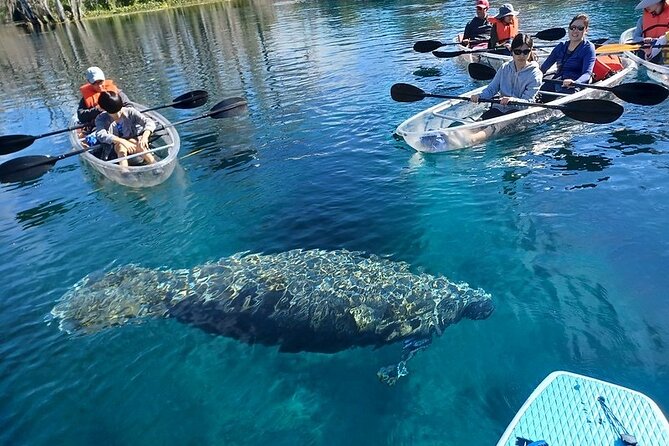 Clear Kayak or Paddleboard Manatee Adventure - The route may not be the full river loop
