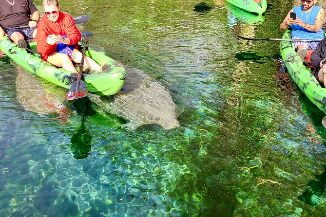 Clear Kayak or Paddleboard Manatee Adventure - Is $80 a fair price?