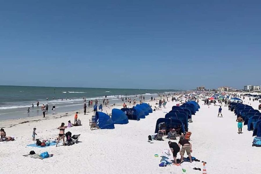 Clearwater Beach and Dolphin Cruise Day Trip from Orlando - Key points to know before booking