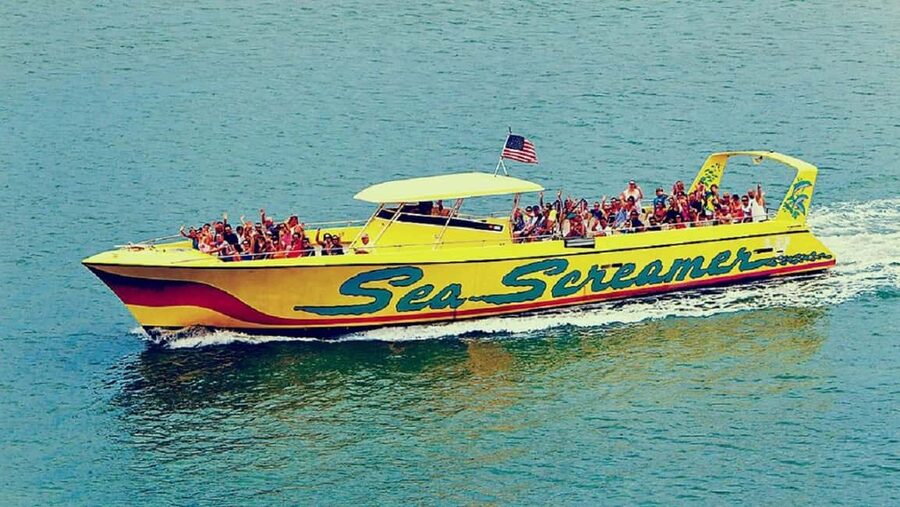 Clearwater Beach and Dolphin Cruise Day Trip from Orlando - Why Clearwater makes a good break from Orlando