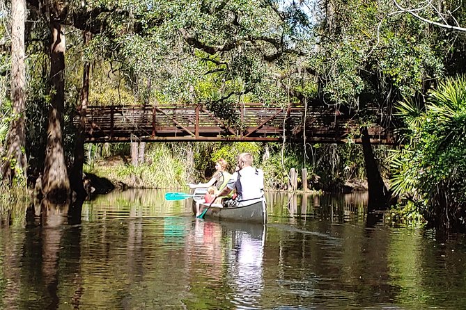 Cypress Forest: Guided Nature Kayak Eco-Tour - The first 20 minutes: learning the basic strokes