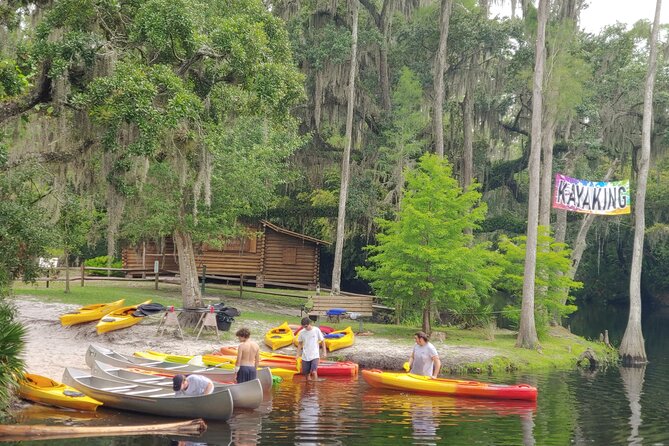 Cypress Forest: Guided Nature Kayak Eco-Tour - The airport noise trade-off