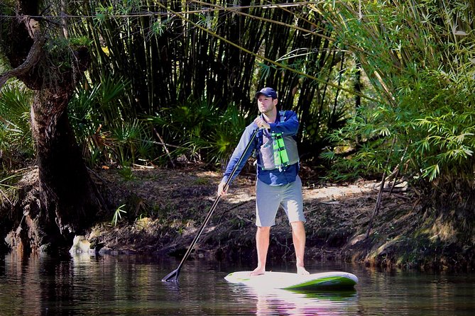 Cypress Forest: Guided Nature Kayak Eco-Tour - Wildlife watching without a guarantee