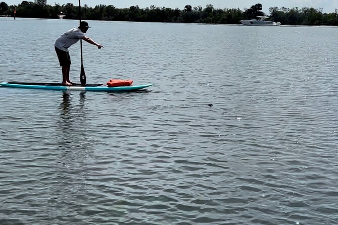Dolphin and Manatee Adventure Tour of Merritt Island - Kayak or paddleboard: which should you choose?