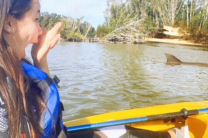 Dolphin & Manatee Kayaking Tour in Orlando Area - Key points to know before you paddle