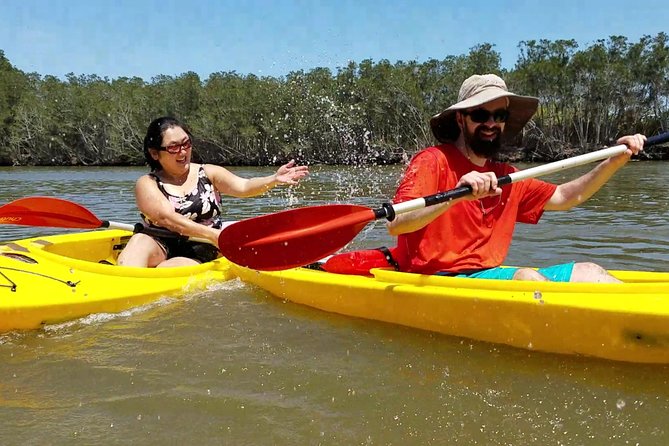 Dolphin & Manatee Kayaking Tour in Orlando Area - Is this the right Orlando-area wildlife tour?